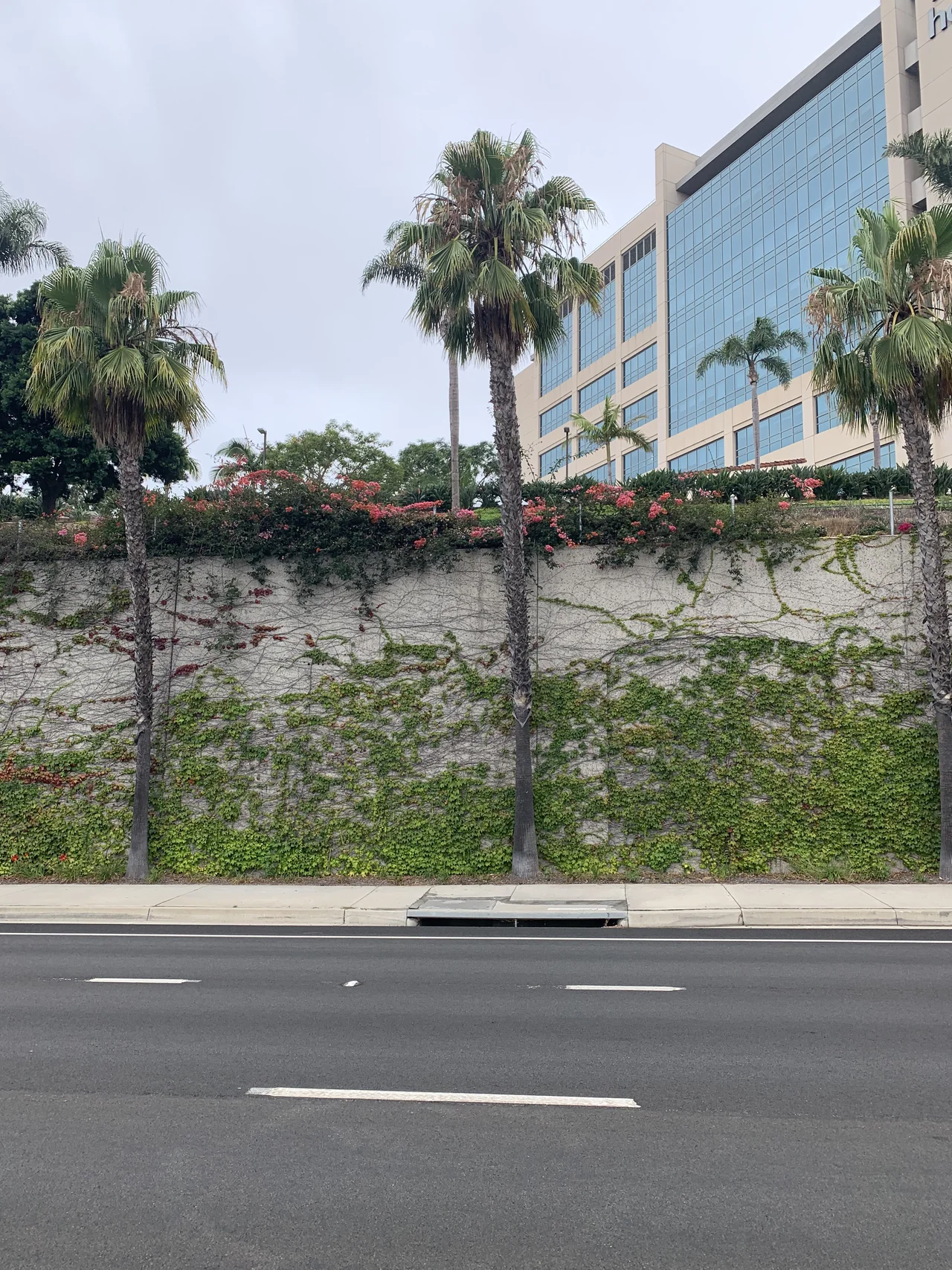 Retaining Wall & RCP Pipe Repair
